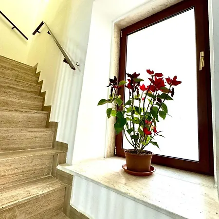 Dimora Emilu * Bari